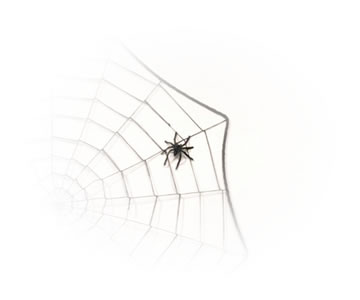 web site design solutions